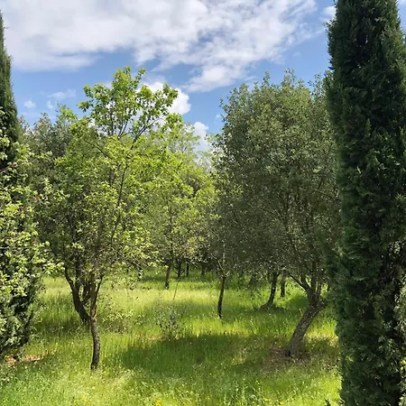 Villa Elena Tuscany - Pool & Garden Arezzo - Ihh