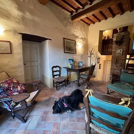 Villa Elena Tuscany - Pool & Garden Arezzo - Ihh *