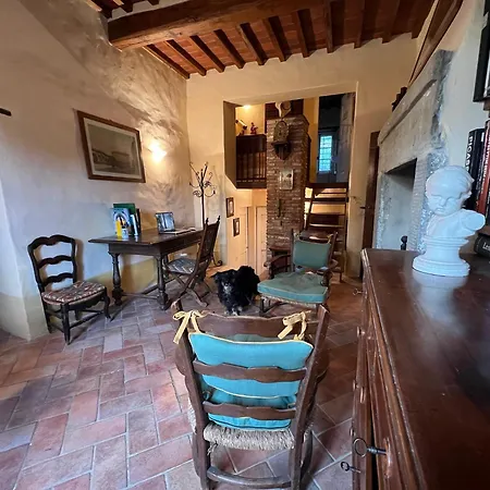 Elena Tuscany - Pool & Garden Arezzo - Ihh Vila *