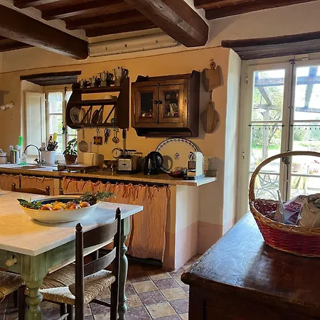 Villa Elena Tuscany - Pool & Garden Arezzo - Ihh *