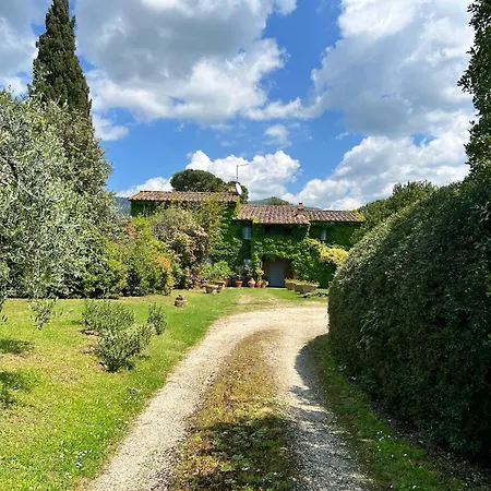 Elena Tuscany - Pool & Garden Arezzo - Ihh Villa Vitiano