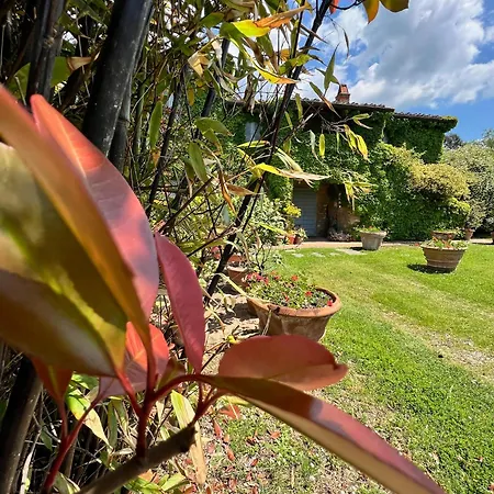 Elena Tuscany - Pool & Garden Arezzo - Ihh Villa Vitiano