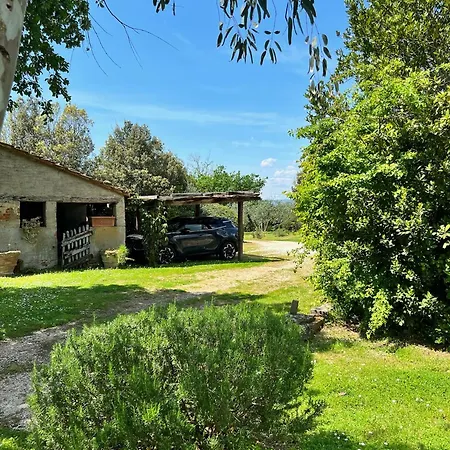Vila Elena Tuscany - Pool & Garden Arezzo - Ihh Vitiano