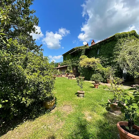 Elena Tuscany - Pool & Garden Arezzo - Ihh * Vitiano