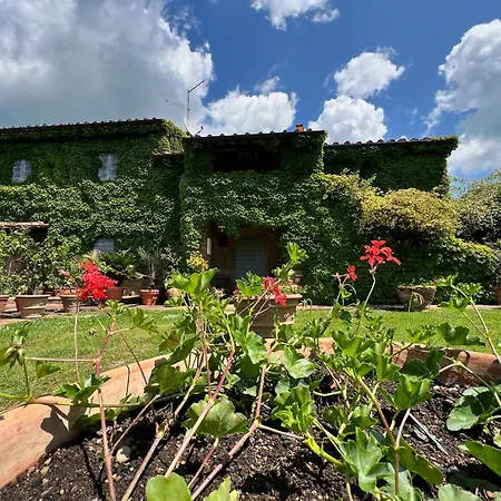 Villa Elena Tuscany - Pool & Garden Arezzo - Ihh *